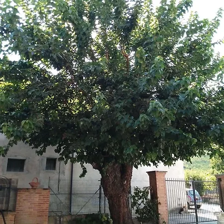 Del Gelso Bianco B&B 3*