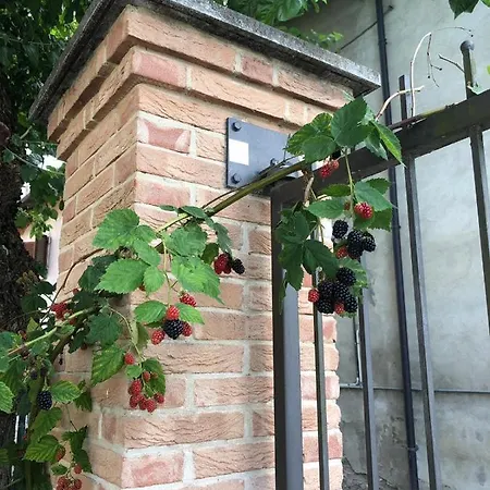 Del Gelso Bianco B&B 3*